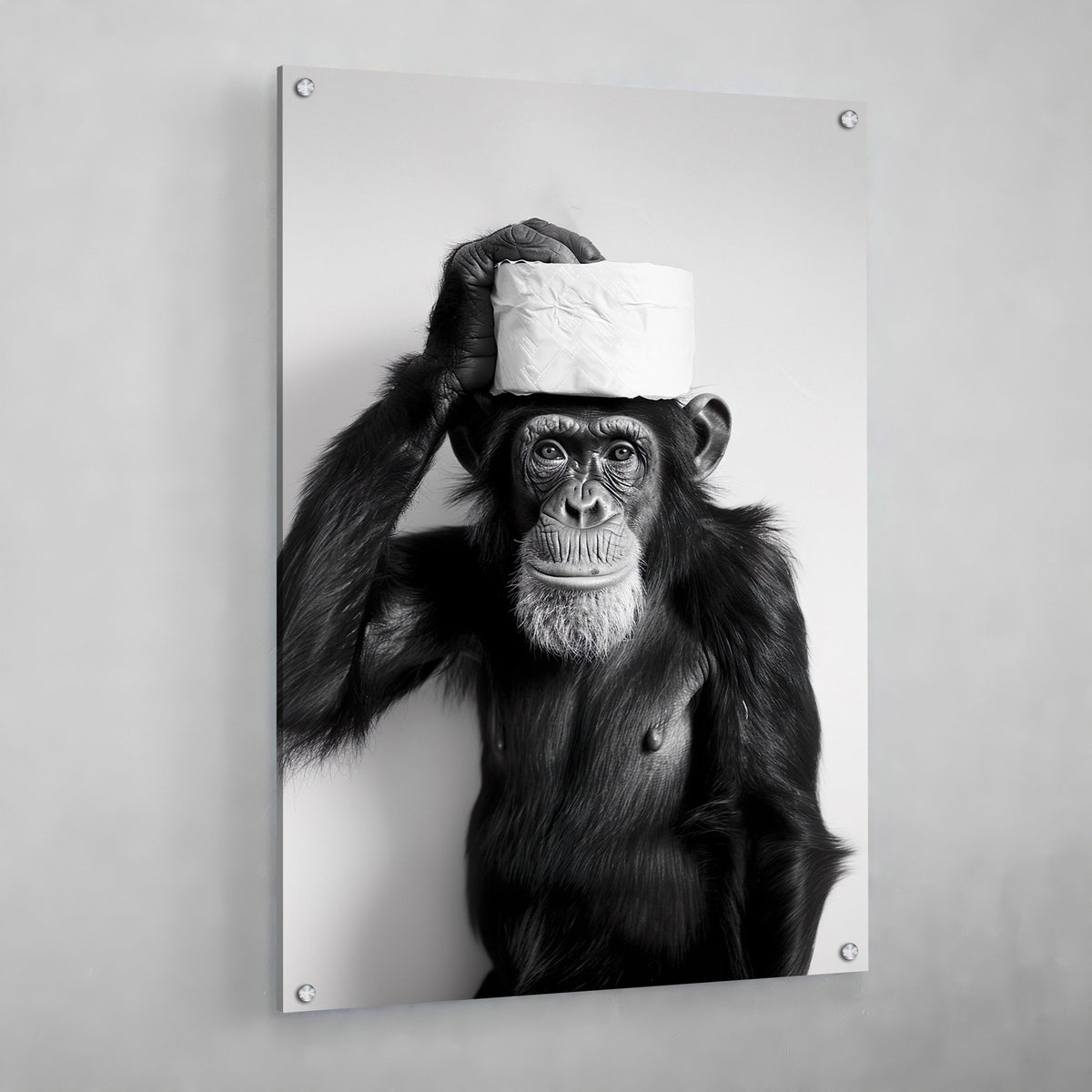 Tableau Singe Noir et Blanc Toilettes - The Art Avenue