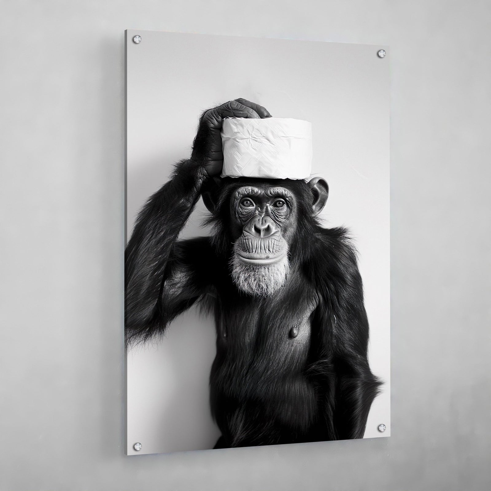 Tableau Singe Noir et Blanc Toilettes - The Art Avenue