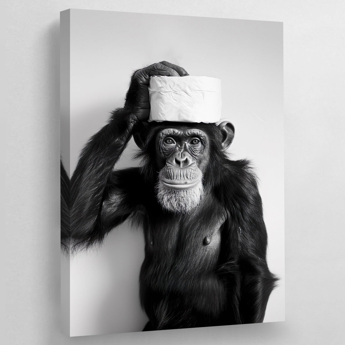 Tableau Singe Noir et Blanc Toilettes - The Art Avenue