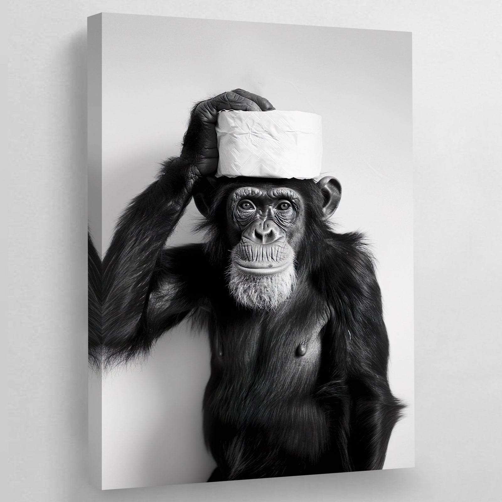 Tableau Singe Noir et Blanc Toilettes - The Art Avenue