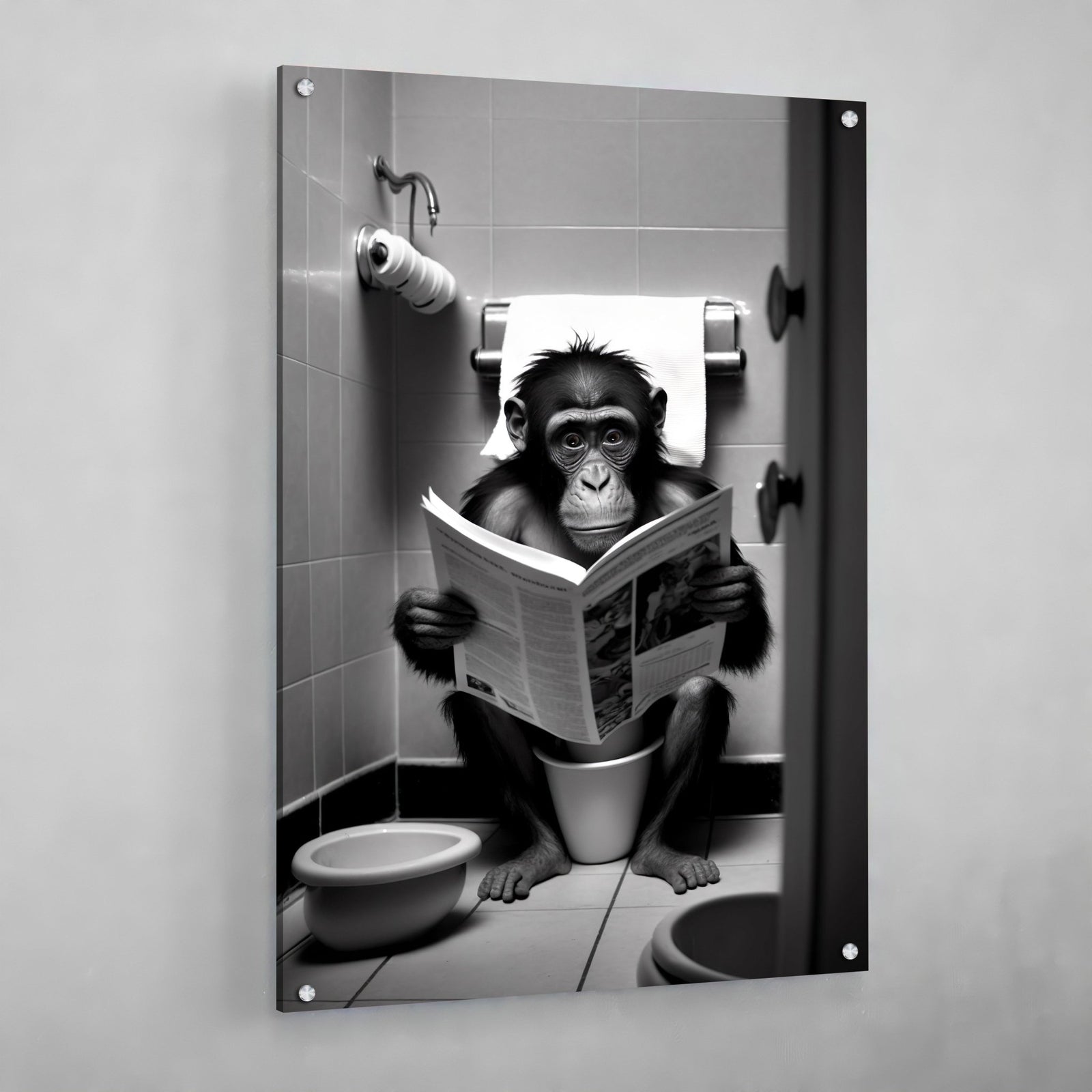 Tableau Singe Toilettes Noir et Blanc - The Art Avenue
