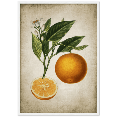 Tableau Deco Cuisine Vintage - The Art Avenue