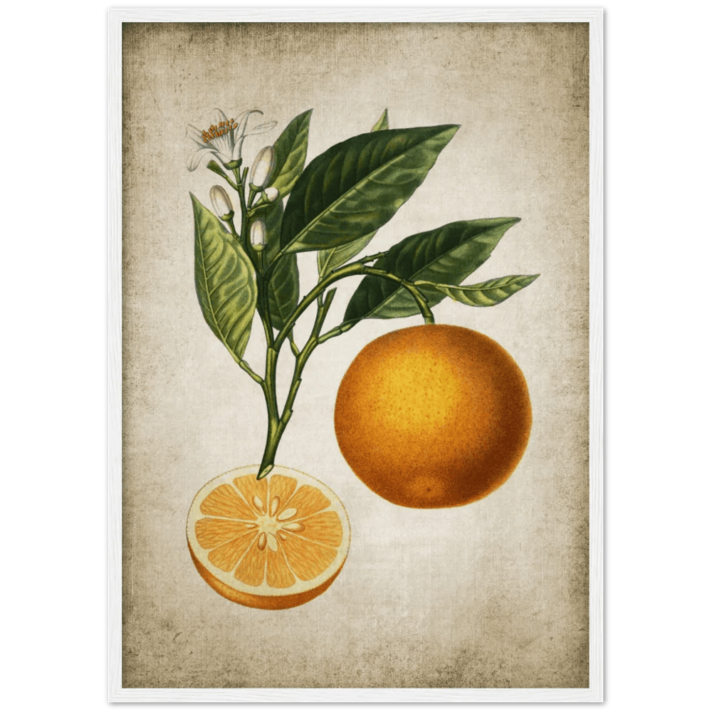 Tableau Deco Cuisine Vintage - The Art Avenue