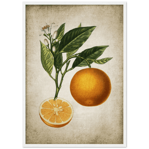 Tableau Deco Cuisine Vintage - The Art Avenue