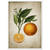 Tableau Deco Cuisine Vintage - The Art Avenue