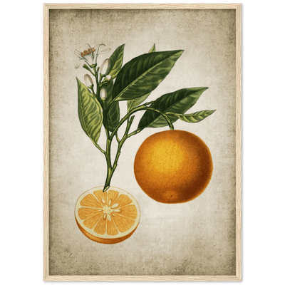 Tableau Deco Cuisine Vintage - The Art Avenue
