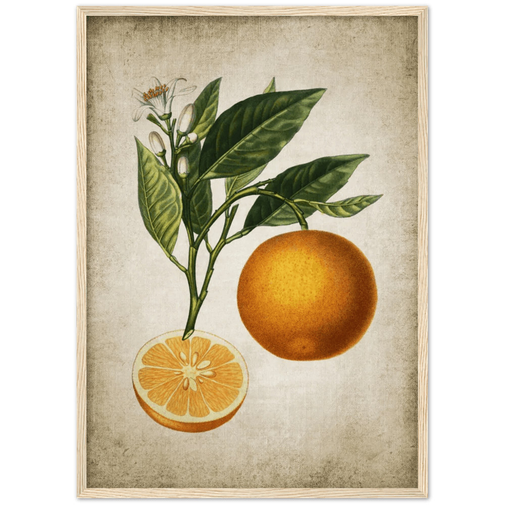 Tableau Deco Cuisine Vintage - The Art Avenue