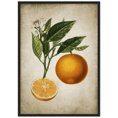 Tableau Deco Cuisine Vintage - The Art Avenue