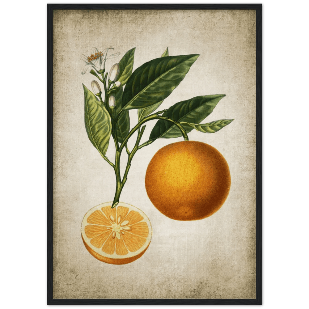 Tableau Deco Cuisine Vintage - The Art Avenue