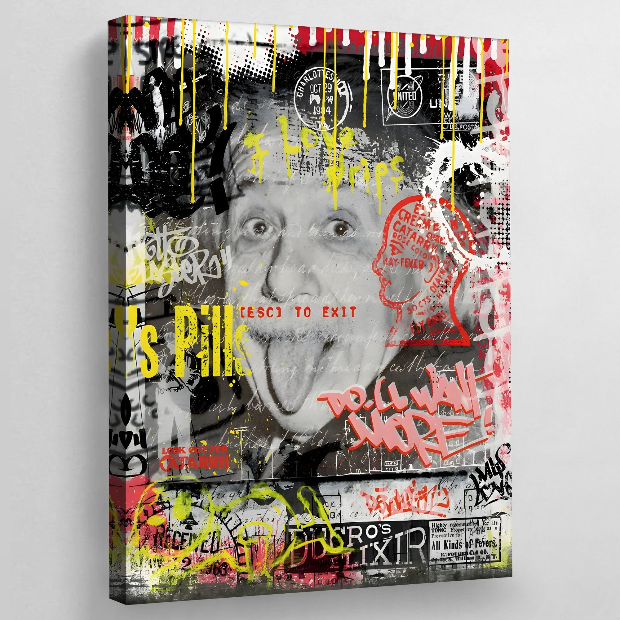 Tableau Street Art Einstein - The Art Avenue