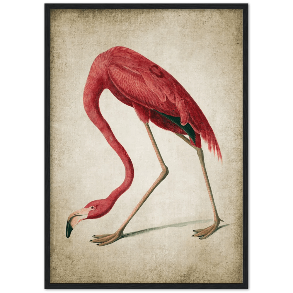 Tableau Vintage Flamant Rose - The Art Avenue