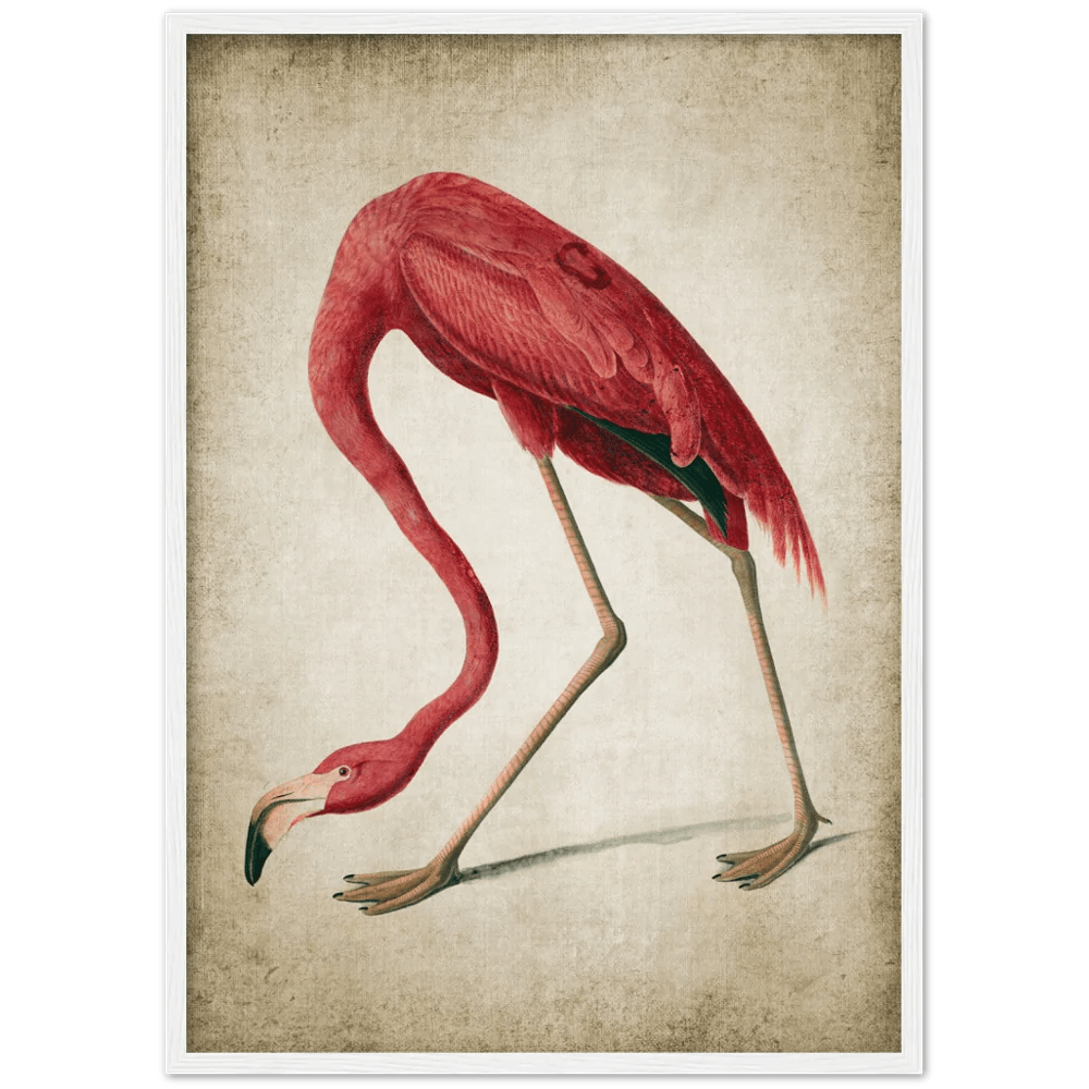 Tableau Vintage Flamant Rose - The Art Avenue