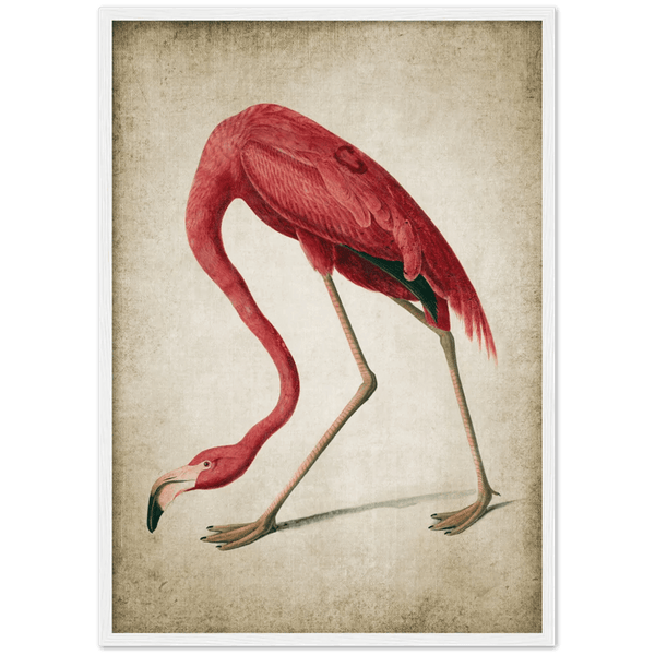 Tableau Canevas Vintage – Flamant Rose Dans Les Roseaux – Camargue – 52x42.5 Cm