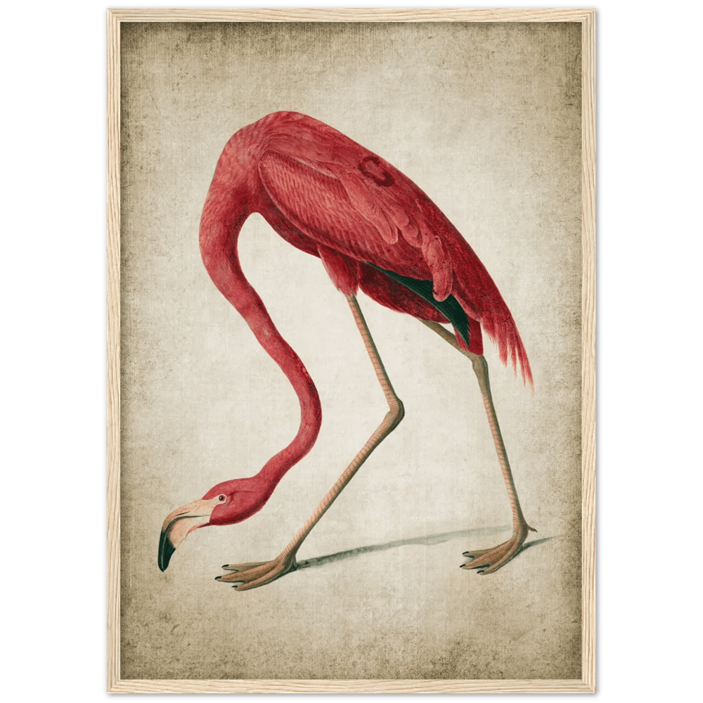 Tableau Vintage Flamant Rose - The Art Avenue