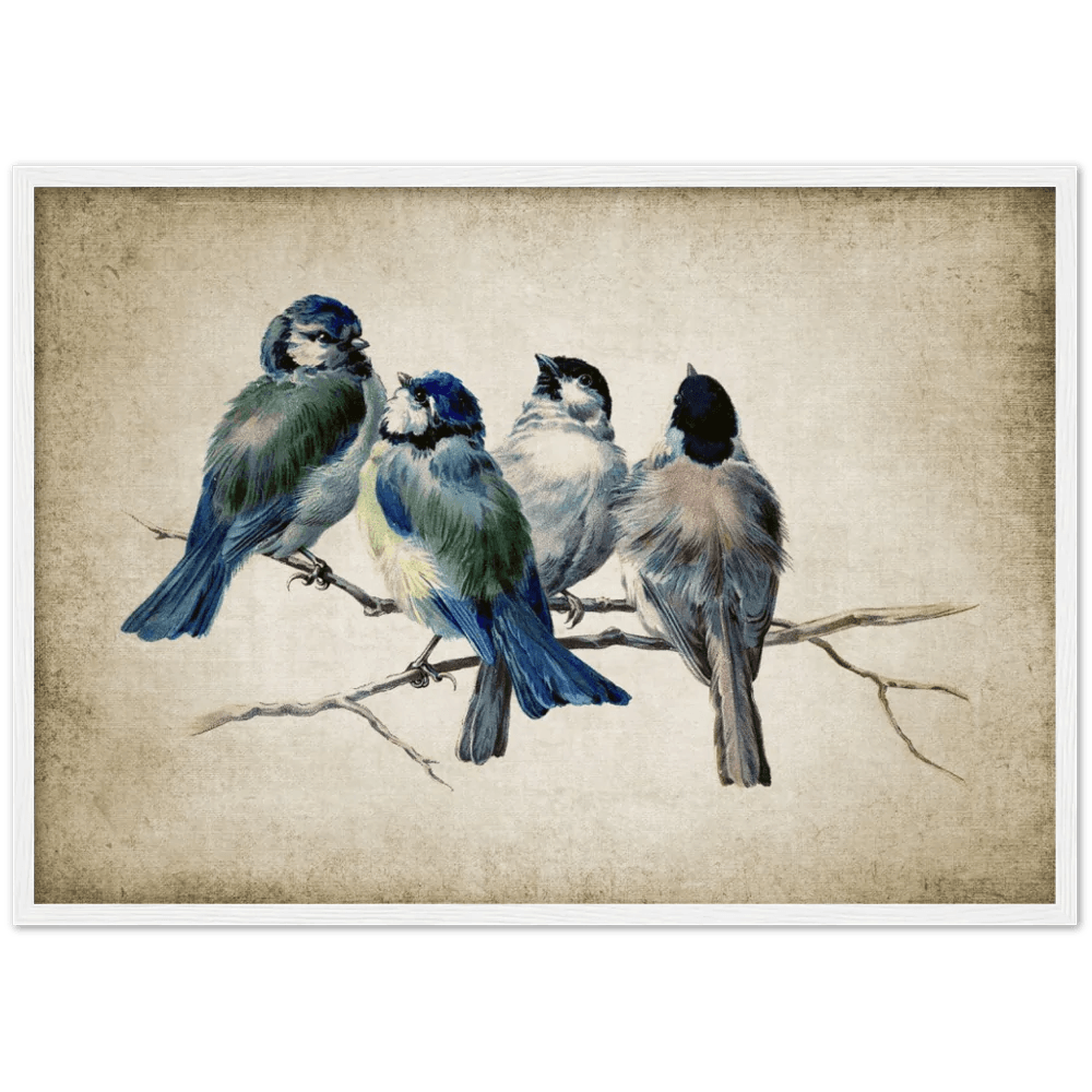 Tableau Vintage Oiseaux