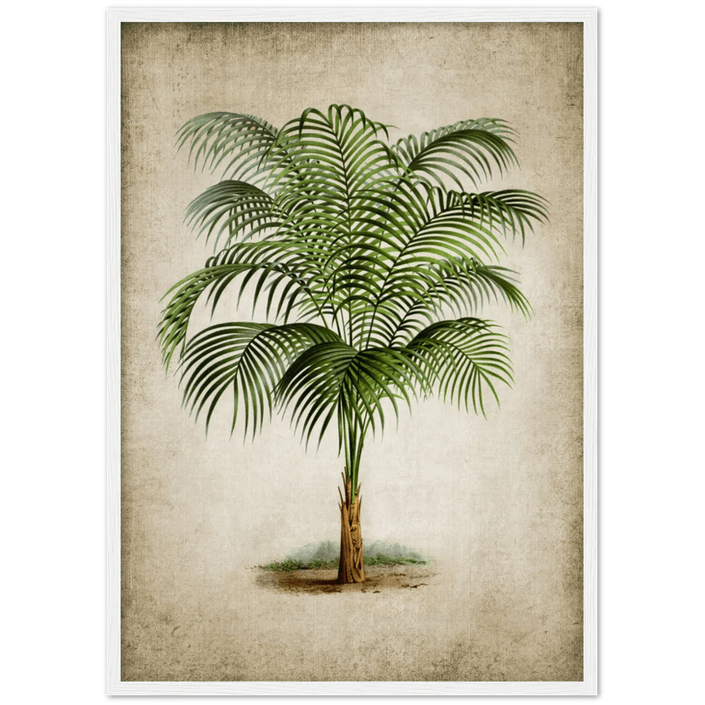 Tableau Vintage Palmier - The Art Avenue