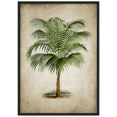 Tableau Vintage Palmier - The Art Avenue