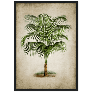 Tableau Vintage Palmier - The Art Avenue