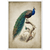 Tableau Vintage Paon - The Art Avenue