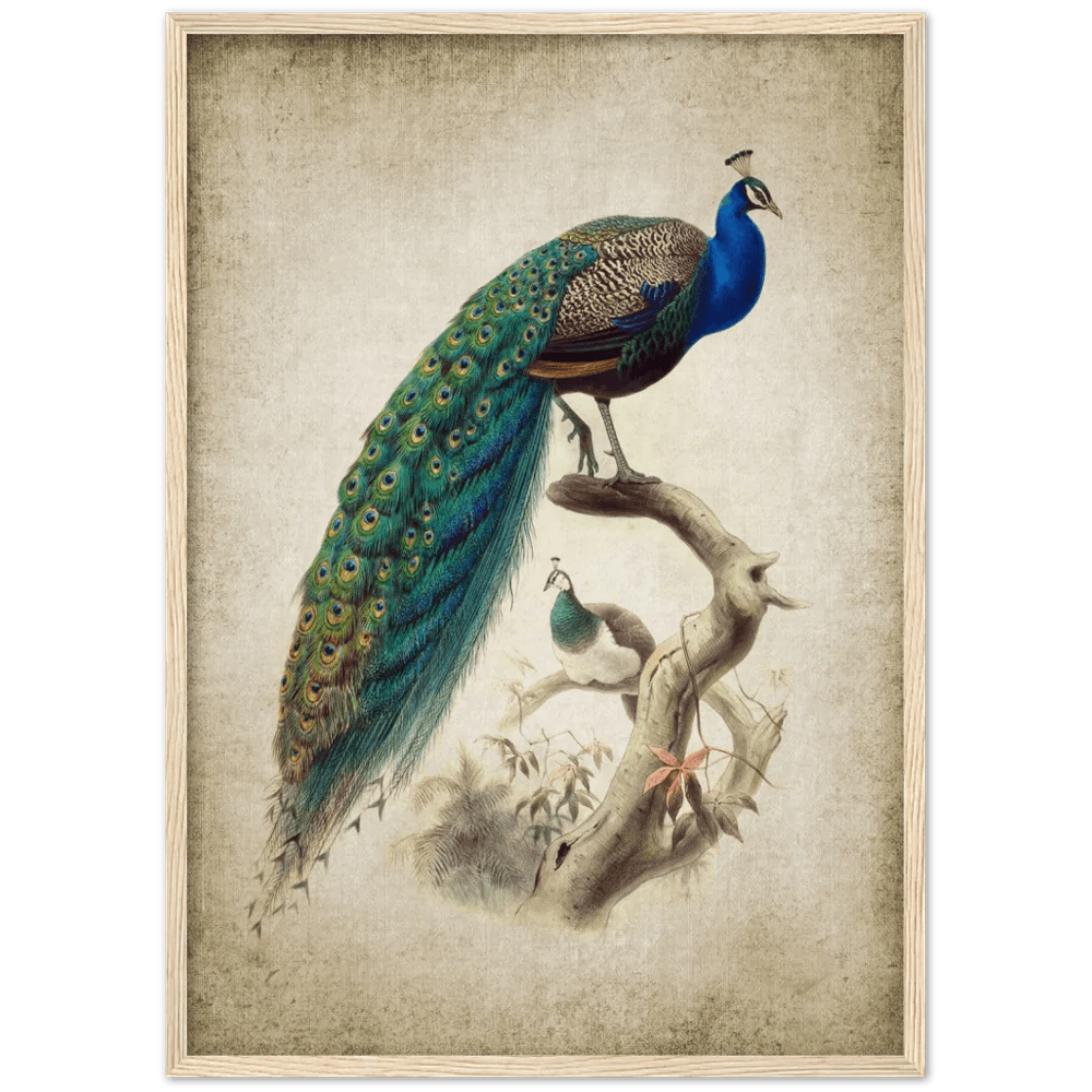 Tableau Vintage Paon - The Art Avenue